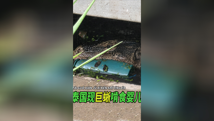 新奥门开奖结果2025资料大全,经济增长主动力作用持续显现,展开解析落实_升级版V15.73